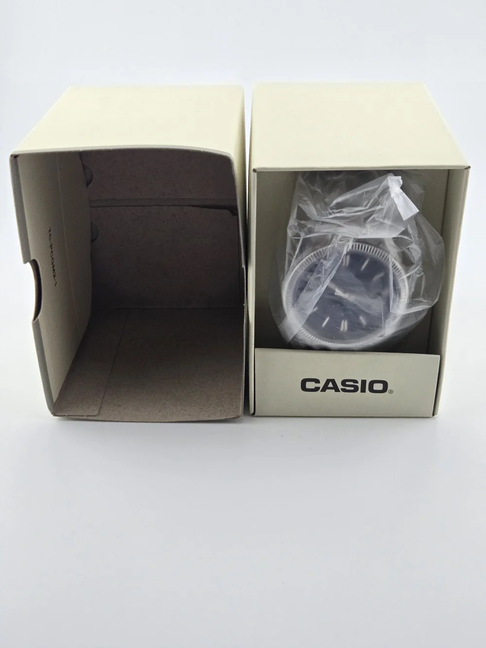 Casio stainless steel